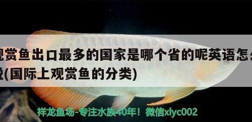 觀賞魚出口最多的國家是哪個(gè)省的呢英語怎么說(國際上觀賞魚的分類) 觀賞魚進(jìn)出口 第1張