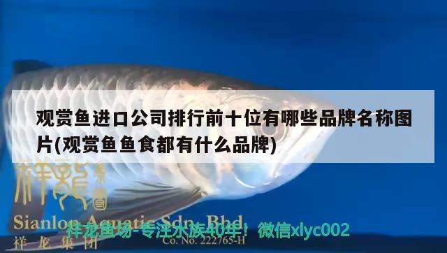 觀賞魚進口公司排行前十位有哪些品牌名稱圖片(觀賞魚魚食都有什么品牌)