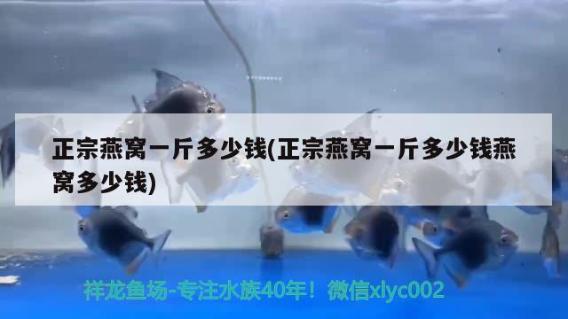 正宗燕窩一斤多少錢(正宗燕窩一斤多少錢燕窩多少錢) 馬來西亞燕窩