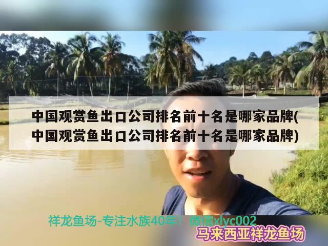 中國觀賞魚出口公司排名前十名是哪家品牌(中國觀賞魚出口公司排名前十名是哪家品牌) 觀賞魚進(jìn)出口