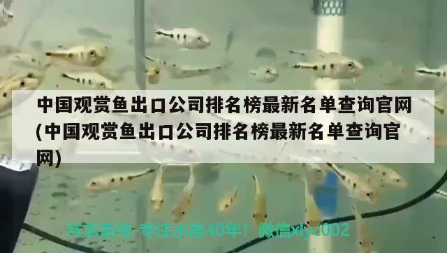 中國觀賞魚出口公司排名榜最新名單查詢官網(wǎng)(中國觀賞魚出口公司排名榜最新名單查詢官網(wǎng)) 觀賞魚進(jìn)出口