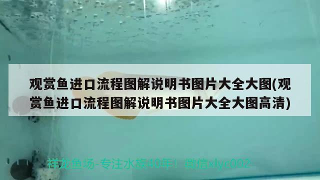 觀賞魚進(jìn)口流程圖解說明書圖片大全大圖(觀賞魚進(jìn)口流程圖解說明書圖片大全大圖高清)