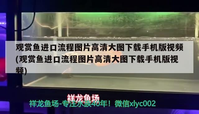 觀賞魚(yú)進(jìn)口流程圖片高清大圖下載手機(jī)版視頻(觀賞魚(yú)進(jìn)口流程圖片高清大圖下載手機(jī)版視頻)