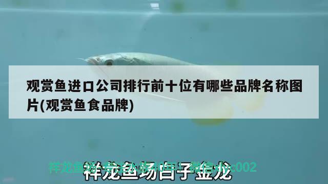 觀賞魚進口公司排行前十位有哪些品牌名稱圖片(觀賞魚食品牌)