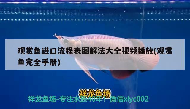 觀賞魚進口流程表圖解法大全視頻播放(觀賞魚完全手冊) 觀賞魚進出口