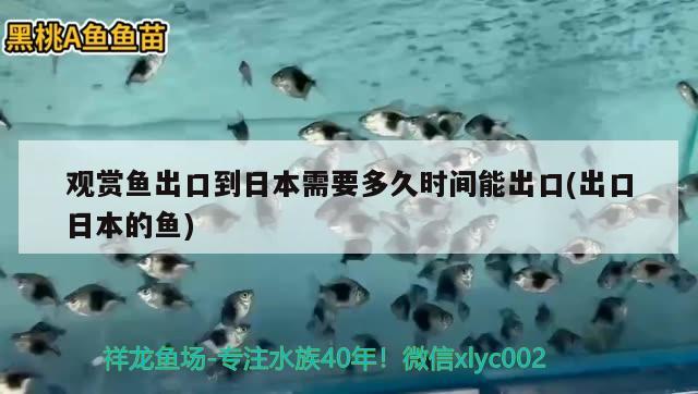 觀賞魚出口到日本需要多久時(shí)間能出口(出口日本的魚) 觀賞魚進(jìn)出口