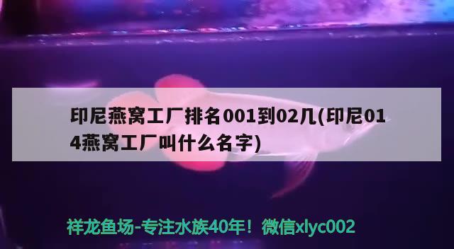 印尼燕窩工廠排名001到02幾(印尼014燕窩工廠叫什么名字) 馬來西亞燕窩