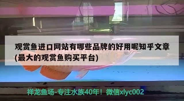 觀賞魚進(jìn)口網(wǎng)站有哪些品牌的好用呢知乎文章(最大的觀賞魚購(gòu)買平臺(tái)) 觀賞魚進(jìn)出口