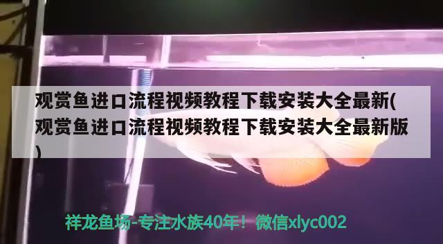 觀賞魚進口流程視頻教程下載安裝大全最新(觀賞魚進口流程視頻教程下載安裝大全最新版)