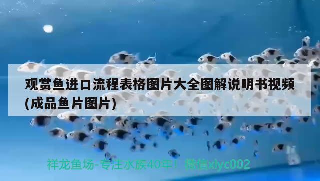 觀賞魚進(jìn)口流程表格圖片大全圖解說(shuō)明書視頻(成品魚片圖片) 觀賞魚進(jìn)出口