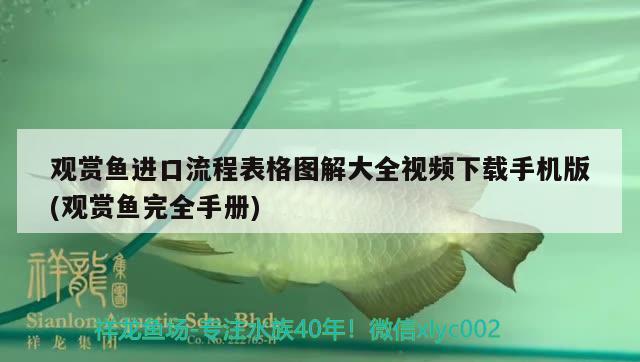 觀賞魚進(jìn)口流程表格圖解大全視頻下載手機版(觀賞魚完全手冊)