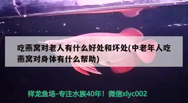 吃燕窩對老人有什么好處和壞處(中老年人吃燕窩對身體有什么幫助) 馬來西亞燕窩