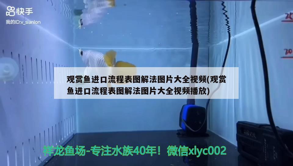 觀賞魚進口流程表圖解法圖片大全視頻(觀賞魚進口流程表圖解法圖片大全視頻播放) 觀賞魚進出口