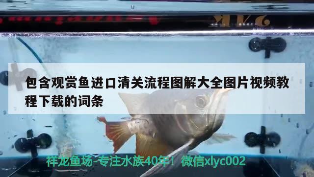 包含觀賞魚進口清關(guān)流程圖解大全圖片視頻教程下載的詞條