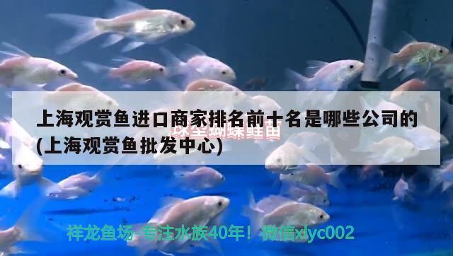 上海觀賞魚進(jìn)口商家排名前十名是哪些公司的(上海觀賞魚批發(fā)中心) 觀賞魚進(jìn)出口