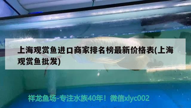 上海觀賞魚進口商家排名榜最新價格表(上海觀賞魚批發(fā))