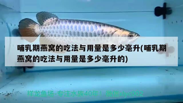 哺乳期燕窩的吃法與用量是多少毫升(哺乳期燕窩的吃法與用量是多少毫升的)