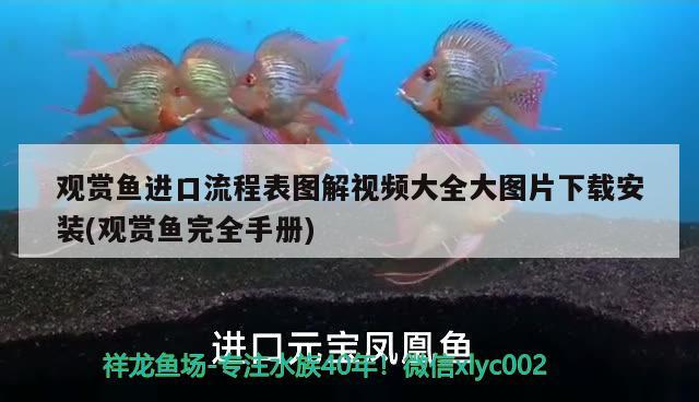 觀賞魚進口流程表圖解視頻大全大圖片下載安裝(觀賞魚完全手冊)