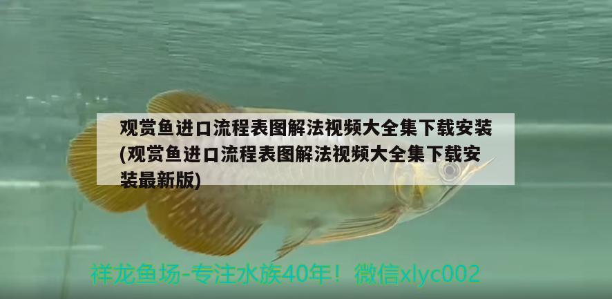 觀賞魚進口流程表圖解法視頻大全集下載安裝(觀賞魚進口流程表圖解法視頻大全集下載安裝最新版)