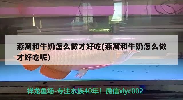 燕窩和牛奶怎么做才好吃(燕窩和牛奶怎么做才好吃呢) 馬來西亞燕窩