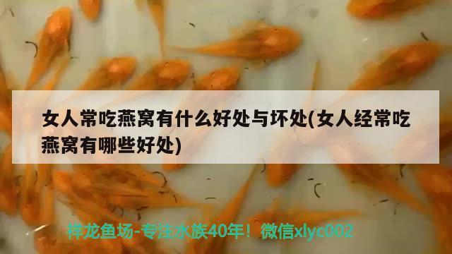 女人常吃燕窩有什么好處與壞處(女人經(jīng)常吃燕窩有哪些好處) 馬來西亞燕窩