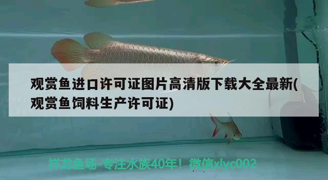 觀賞魚(yú)進(jìn)口許可證圖片高清版下載大全最新(觀賞魚(yú)飼料生產(chǎn)許可證)