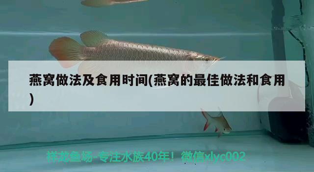 燕窩做法及食用時(shí)間(燕窩的最佳做法和食用) 馬來(lái)西亞燕窩