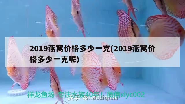 2019燕窩價(jià)格多少一克(2019燕窩價(jià)格多少一克呢) 馬來(lái)西亞燕窩 第2張