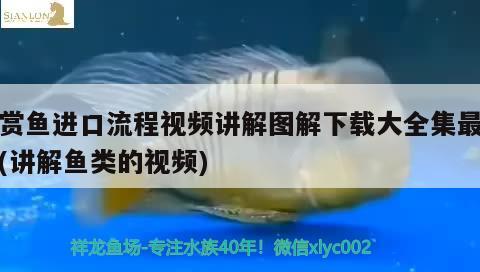 觀賞魚進(jìn)口流程視頻講解圖解下載大全集最新版(講解魚類的視頻)