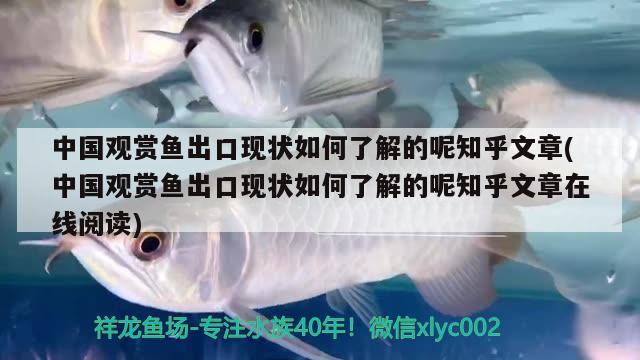 中國觀賞魚出口現(xiàn)狀如何了解的呢知乎文章(中國觀賞魚出口現(xiàn)狀如何了解的呢知乎文章在線閱讀)