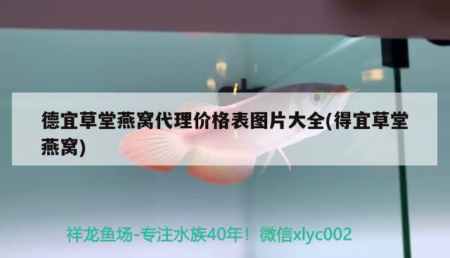 德宜草堂燕窩代理價格表圖片大全(得宜草堂燕窩) 馬來西亞燕窩