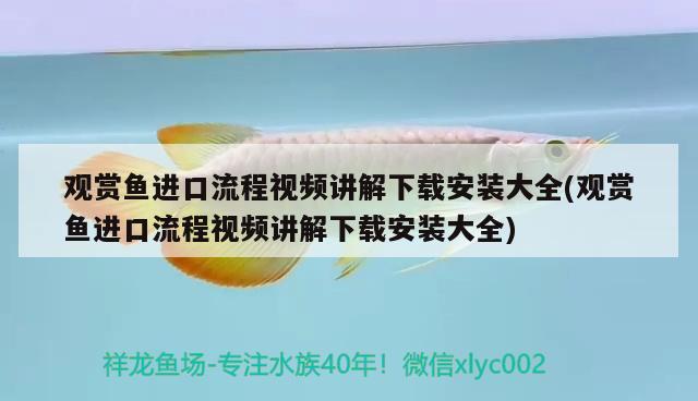 觀賞魚進(jìn)口流程視頻講解下載安裝大全(觀賞魚進(jìn)口流程視頻講解下載安裝大全) 觀賞魚進(jìn)出口