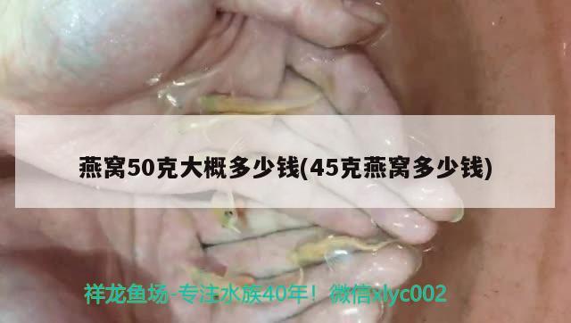 燕窩50克大概多少錢(45克燕窩多少錢) 馬來西亞燕窩