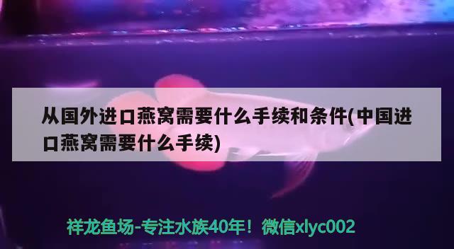 從國外進(jìn)口燕窩需要什么手續(xù)和條件(中國進(jìn)口燕窩需要什么手續(xù))