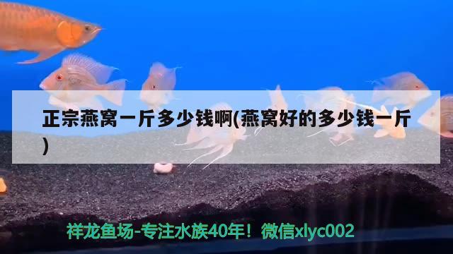 正宗燕窩一斤多少錢(qián)啊(燕窩好的多少錢(qián)一斤) 馬來(lái)西亞燕窩