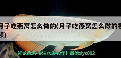 月子吃燕窩怎么做的(月子吃燕窩怎么做的視頻) 馬來西亞燕窩