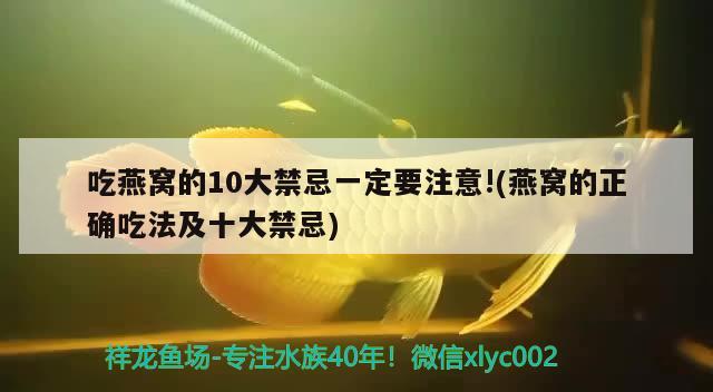 吃燕窩的10大禁忌一定要注意!(燕窩的正確吃法及十大禁忌) 馬來西亞燕窩