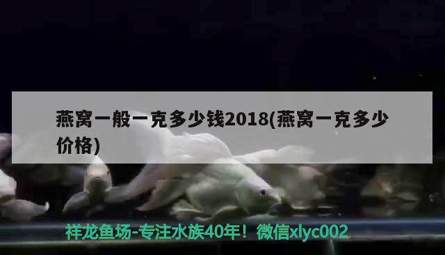 燕窩一般一克多少錢2018(燕窩一克多少價(jià)格) 馬來西亞燕窩