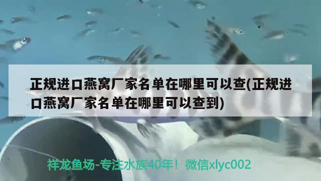 正規(guī)進(jìn)口燕窩廠家名單在哪里可以查(正規(guī)進(jìn)口燕窩廠家名單在哪里可以查到) 馬來西亞燕窩