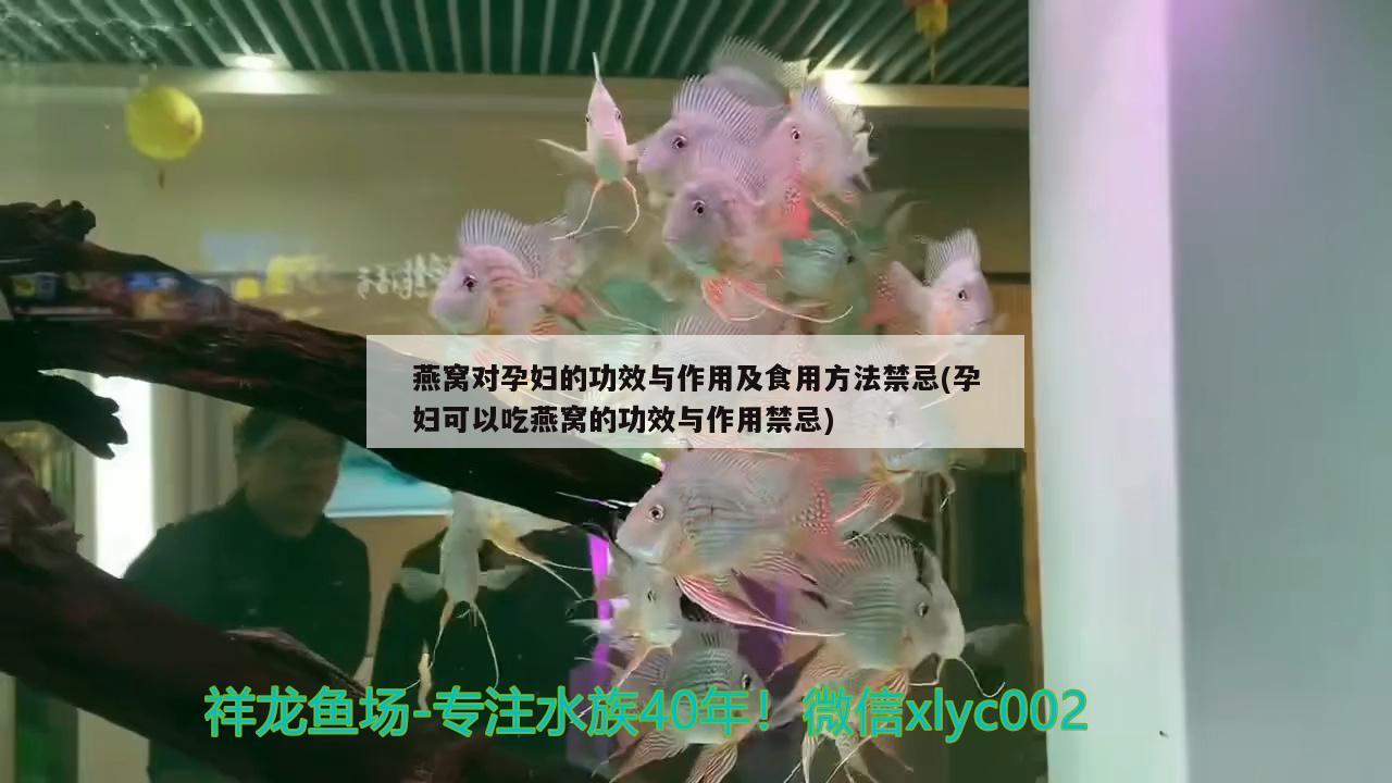 燕窩對(duì)孕婦的功效與作用及食用方法禁忌(孕婦可以吃燕窩的功效與作用禁忌)