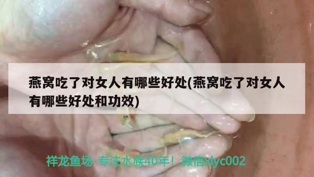 燕窩吃了對女人有哪些好處(燕窩吃了對女人有哪些好處和功效) 馬來西亞燕窩