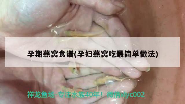 孕期燕窩食譜(孕婦燕窩吃最簡單做法) 馬來西亞燕窩