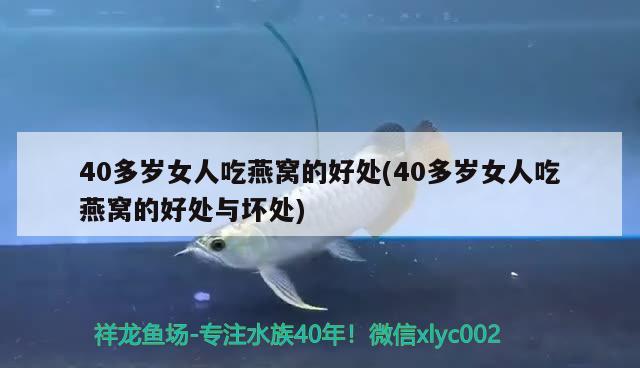 40多歲女人吃燕窩的好處(40多歲女人吃燕窩的好處與壞處) 馬來西亞燕窩