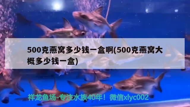 500克燕窩多少錢一盒啊(500克燕窩大概多少錢一盒) 馬來西亞燕窩