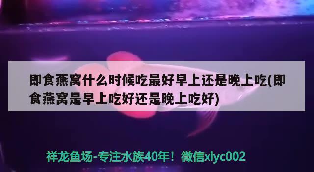 即食燕窩什么時候吃最好早上還是晚上吃(即食燕窩是早上吃好還是晚上吃好) 馬來西亞燕窩