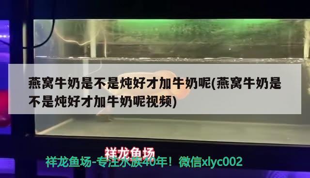 燕窩牛奶是不是燉好才加牛奶呢(燕窩牛奶是不是燉好才加牛奶呢視頻) 馬來西亞燕窩