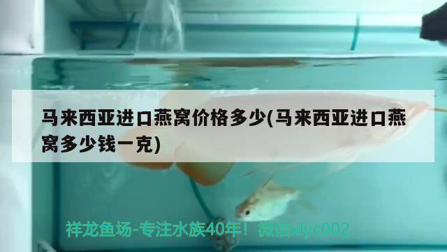 馬來西亞進口燕窩價格多少(馬來西亞進口燕窩多少錢一克) 馬來西亞燕窩