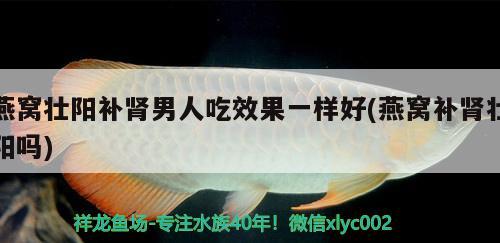 燕窩壯陽補腎男人吃效果一樣好(燕窩補腎壯陽嗎) 馬來西亞燕窩 第1張