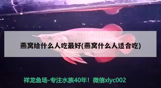 燕窩給什么人吃最好(燕窩什么人適合吃) 馬來西亞燕窩