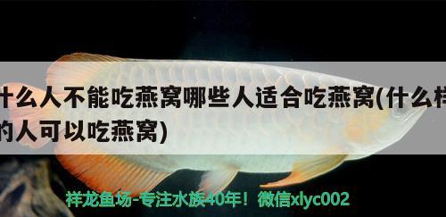 什么人不能吃燕窩哪些人適合吃燕窩(什么樣的人可以吃燕窩) 馬來西亞燕窩